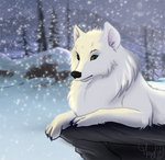 WhiteWolf